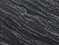Black Marquina R